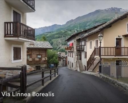 Appartamento Borealis 科涅 外观 照片